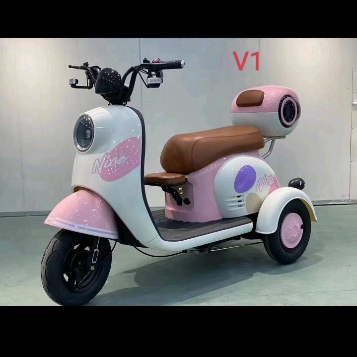 要什么电动车