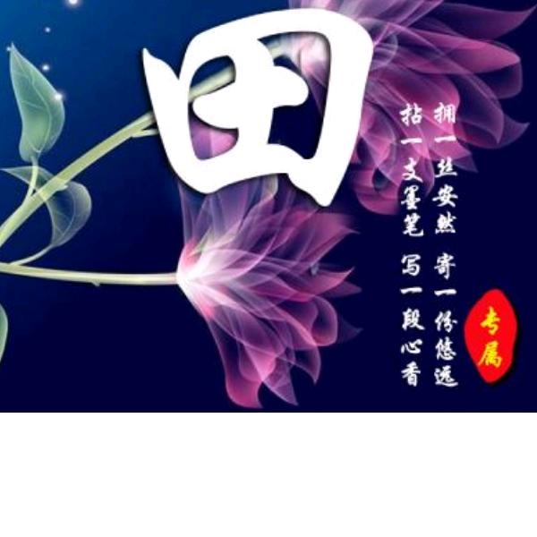@会飞的鱼
