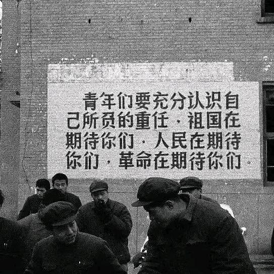 路桥热心市民