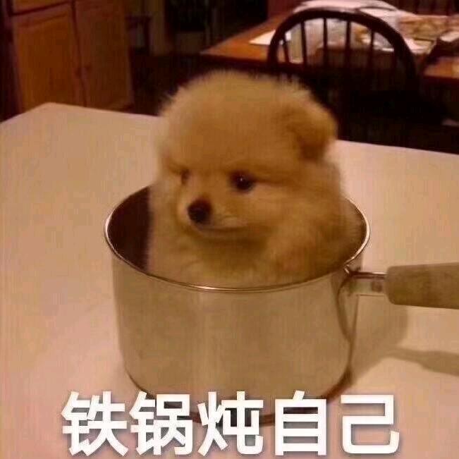 猫猫🐱不睡觉❤️‍🔥