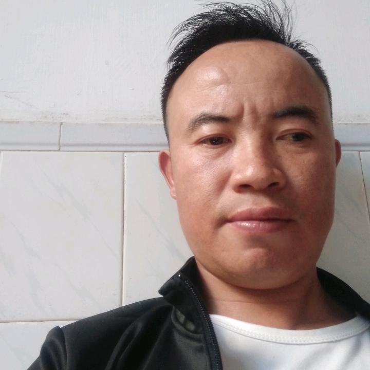 唐螂捕蝉黄雀在后