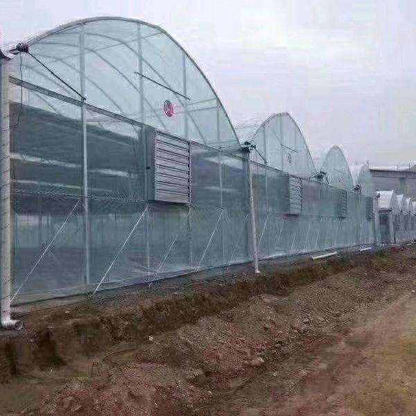 厂家直销生态温室大棚