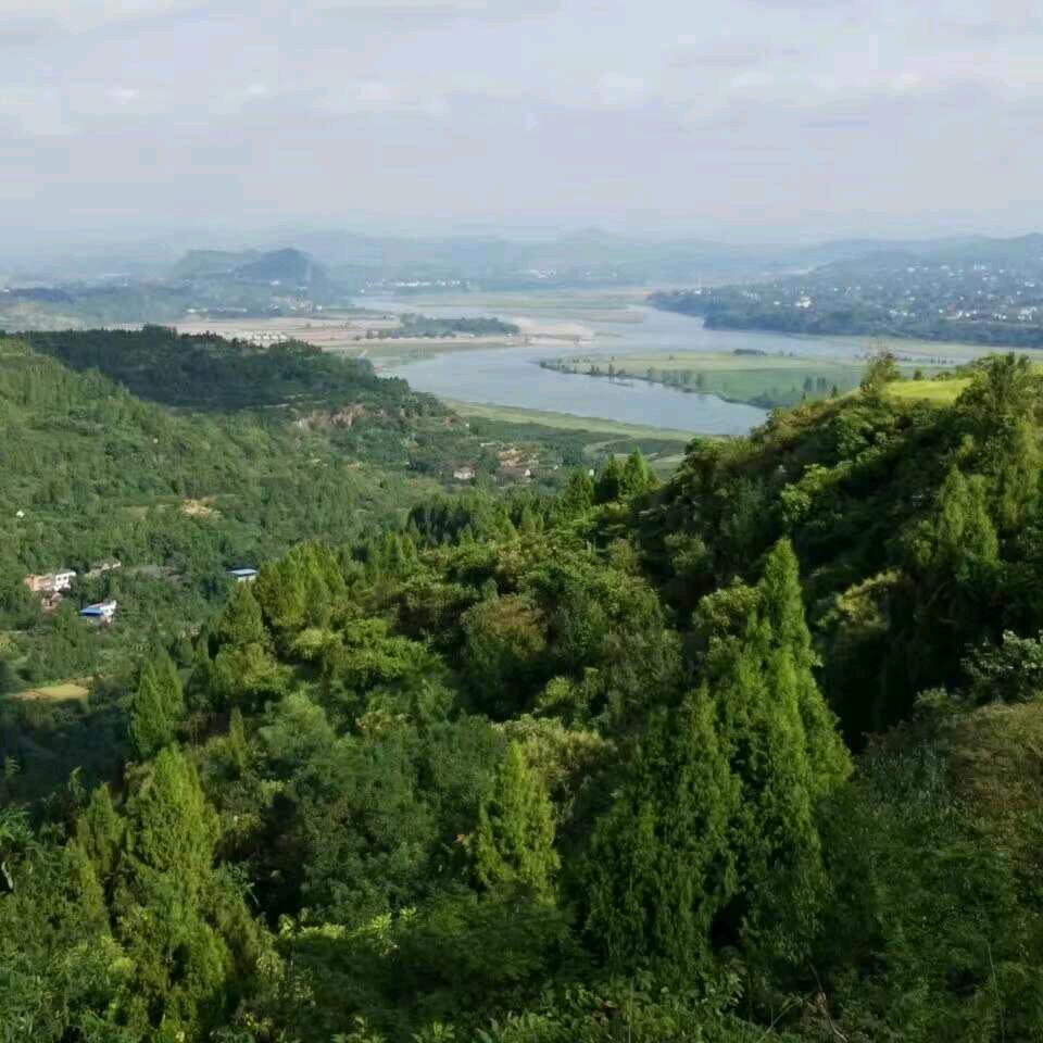 巴山夜雨
