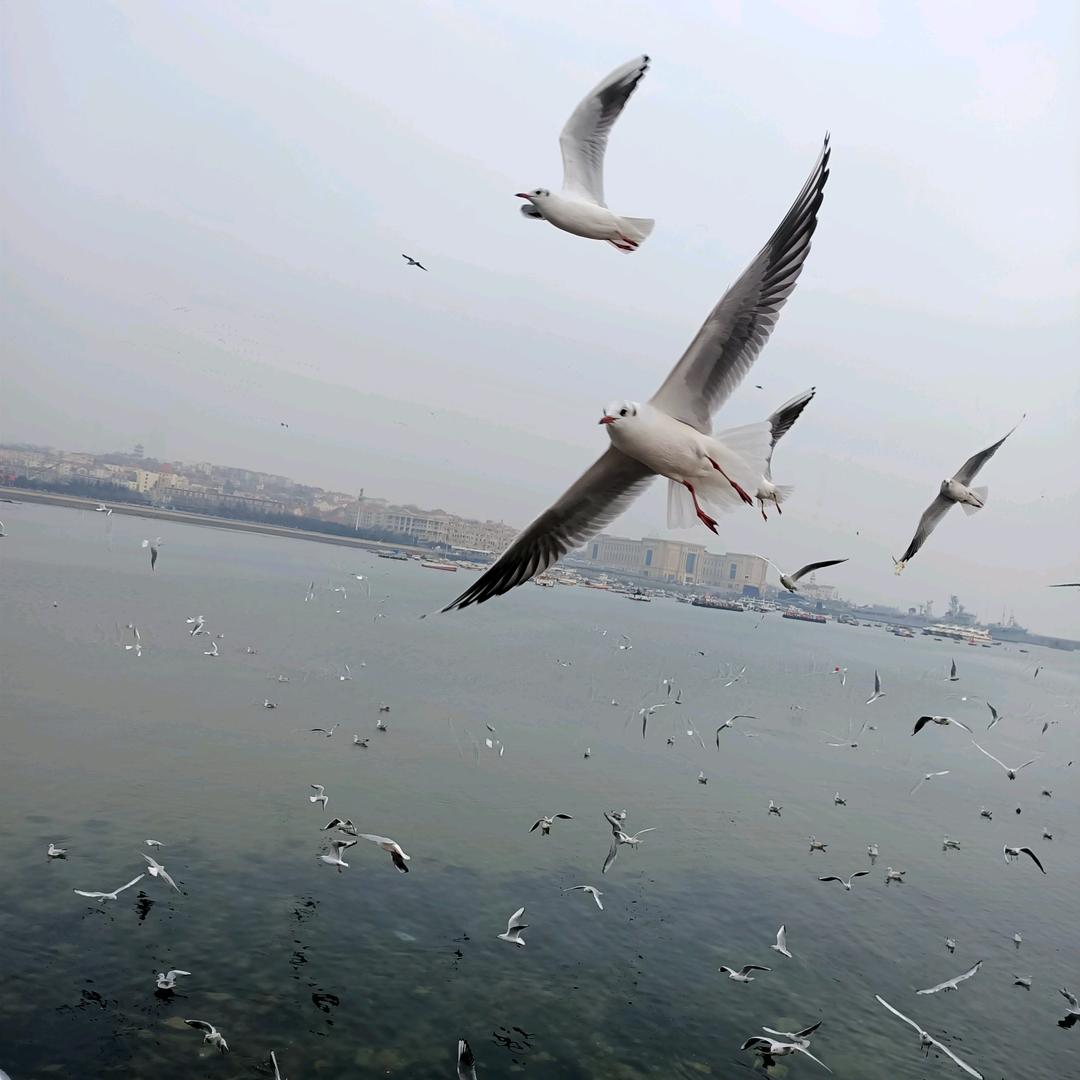 🚬᭄ℯ⃝靠谱大叔᭄ꦿ