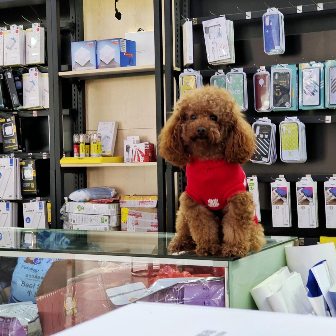 梅田艳萍手机店