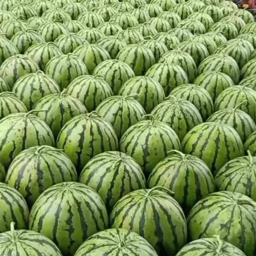 大庆