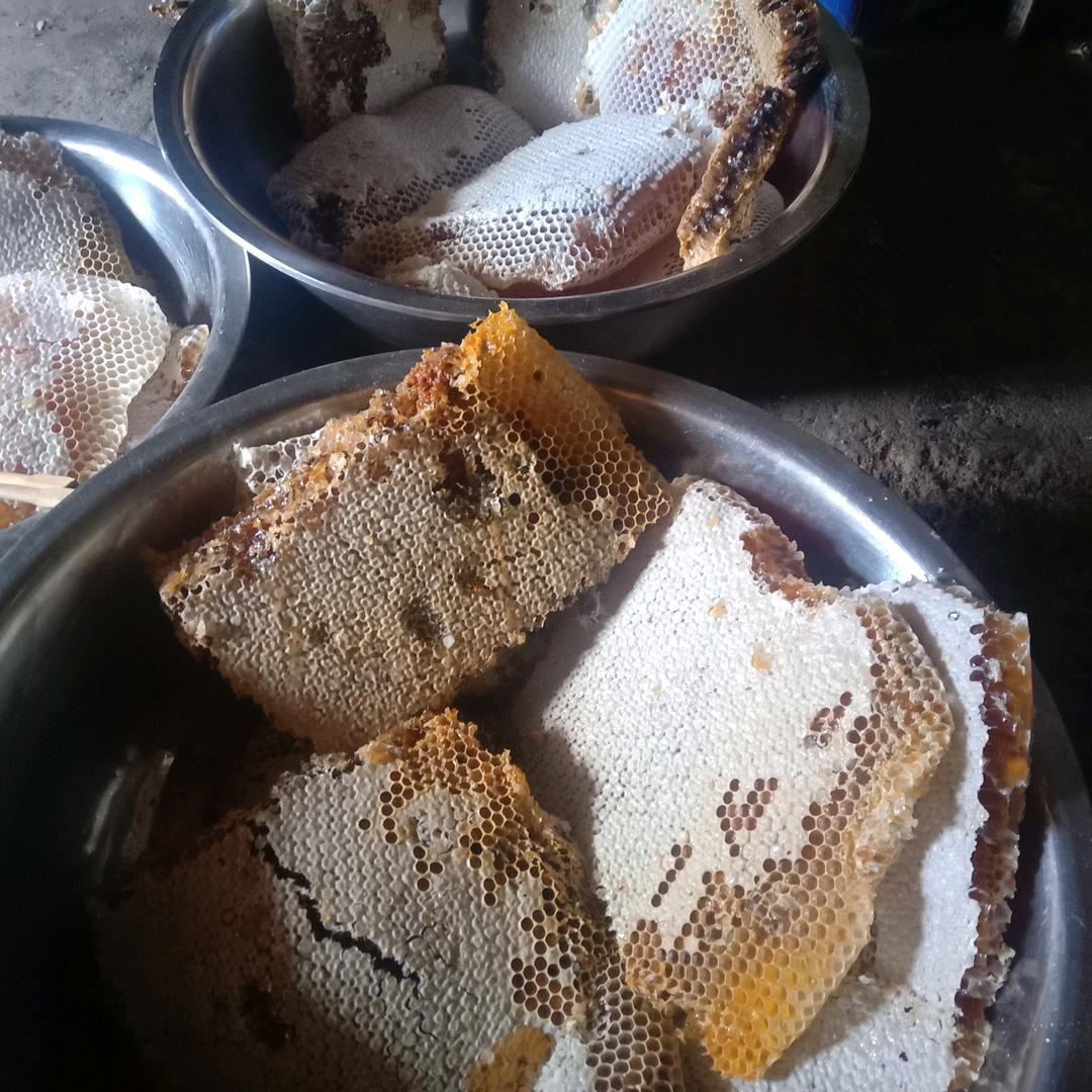 风雨过后总会有阳光