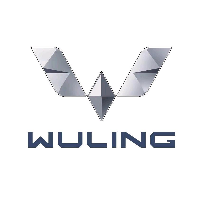 柳河金禹汽车销售有限公司