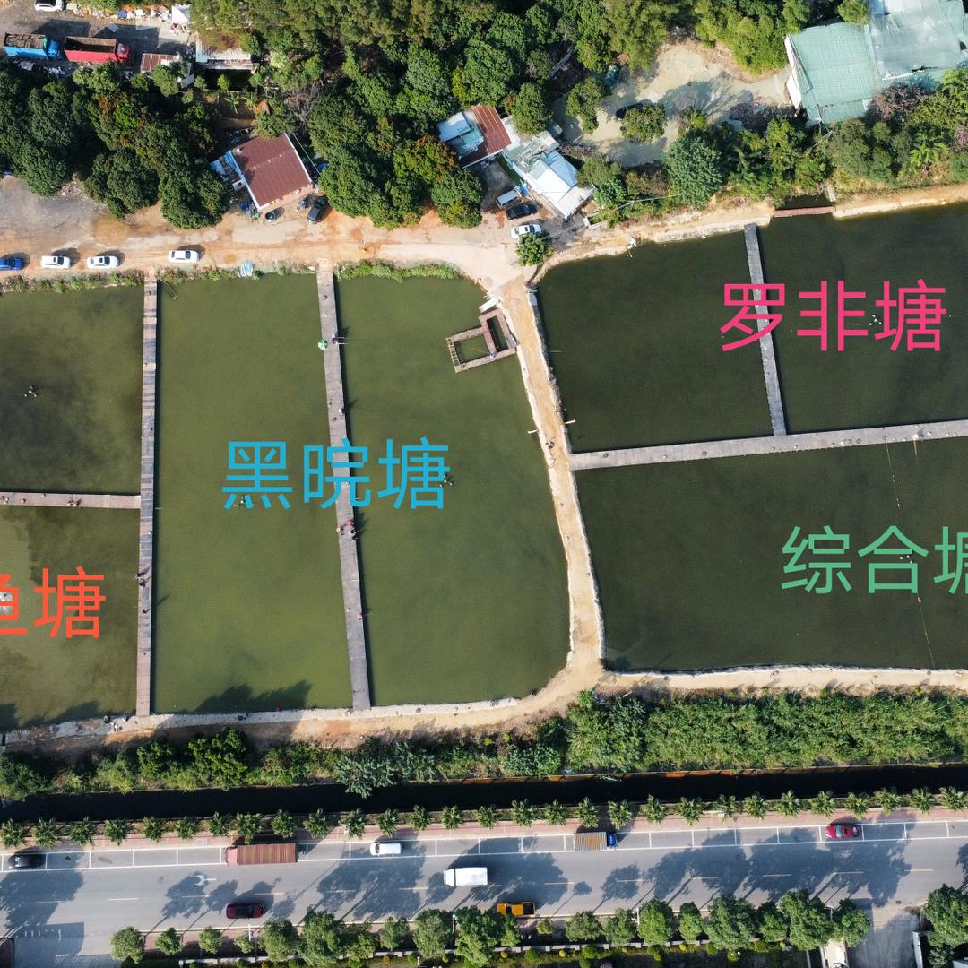 南城飞德