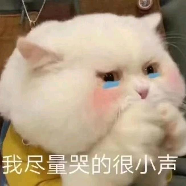 超难讲话的9旬老头