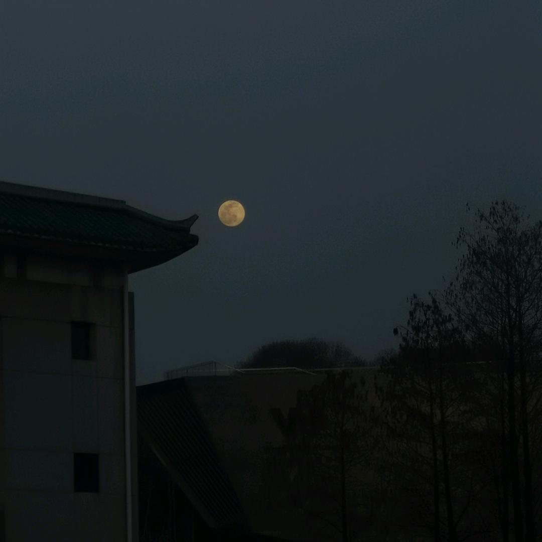 阿盆