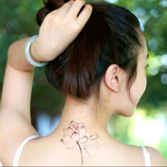 蝴蝶恋上花