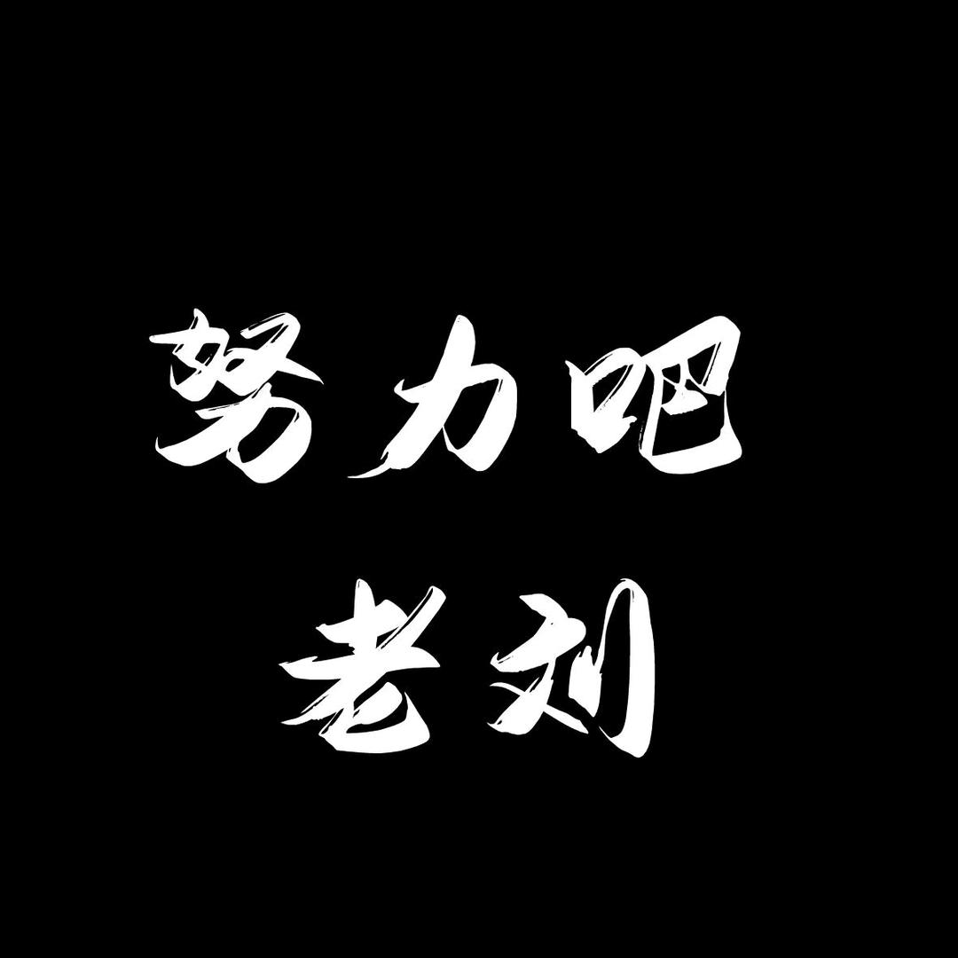 努力吧老刘