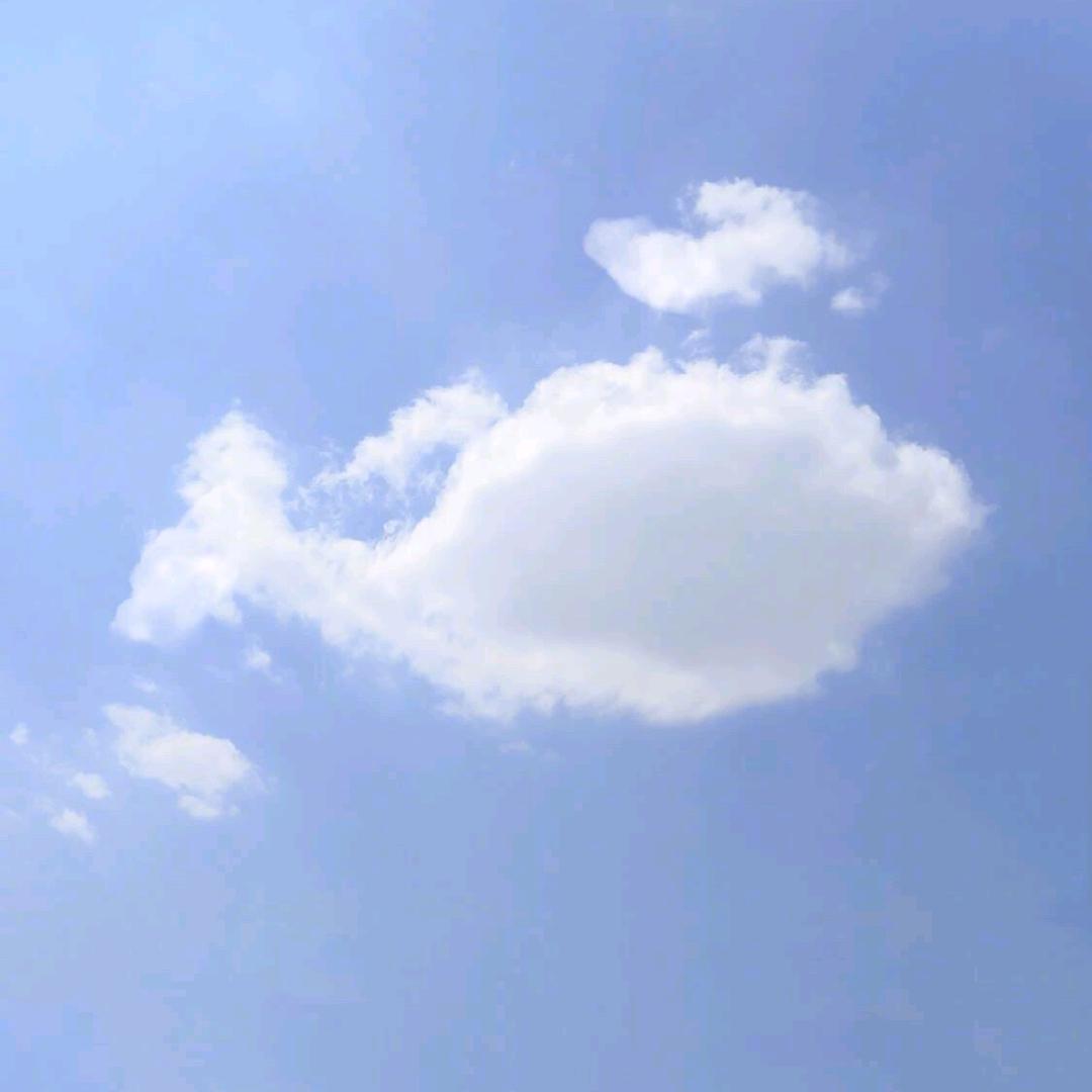 咸鱼人