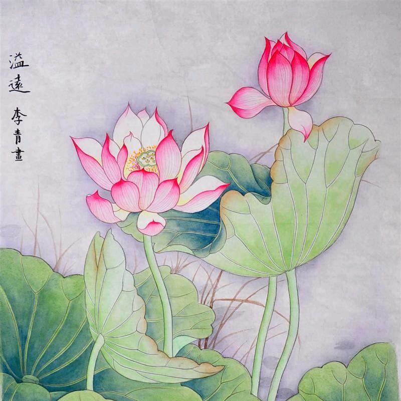 红花～绿叶～白莲藕！🌈0117