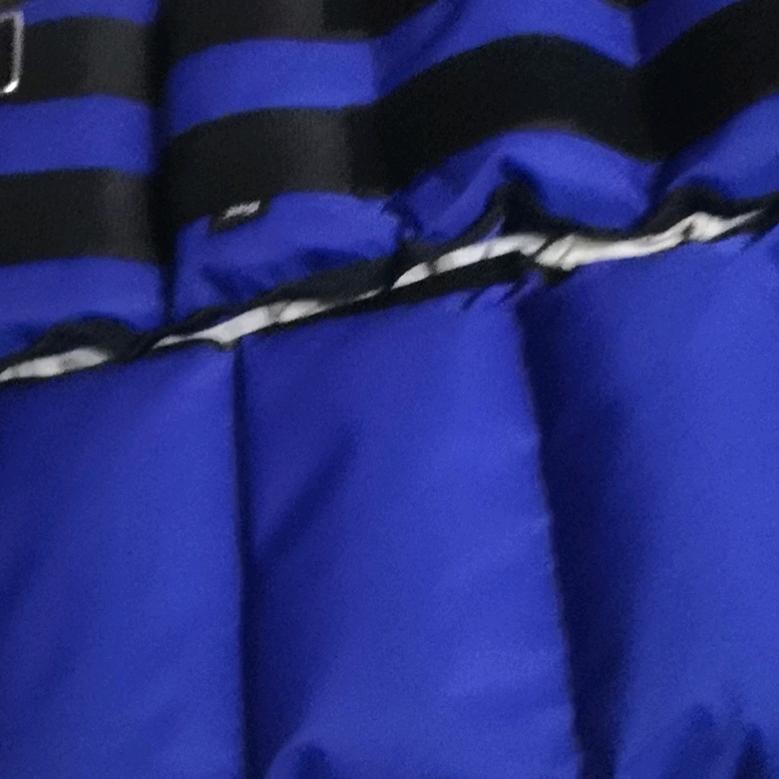 狼