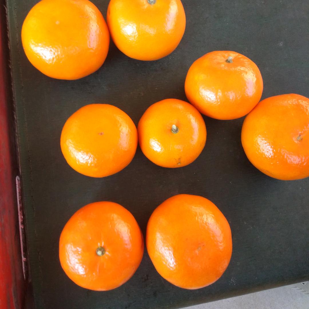 疯狂的果蔬（水果代办）