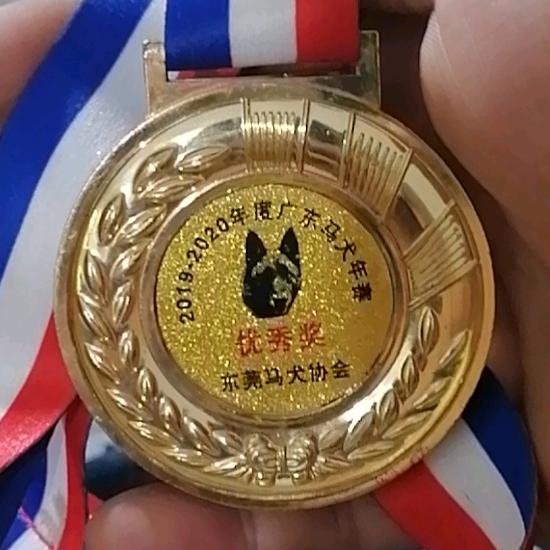 伊宠猛犬俱乐部