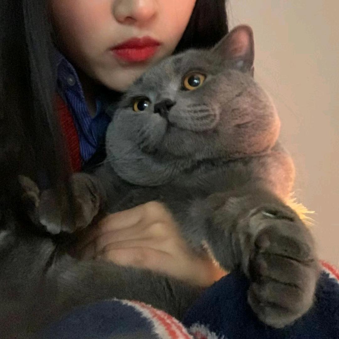 美妆宝藏屋