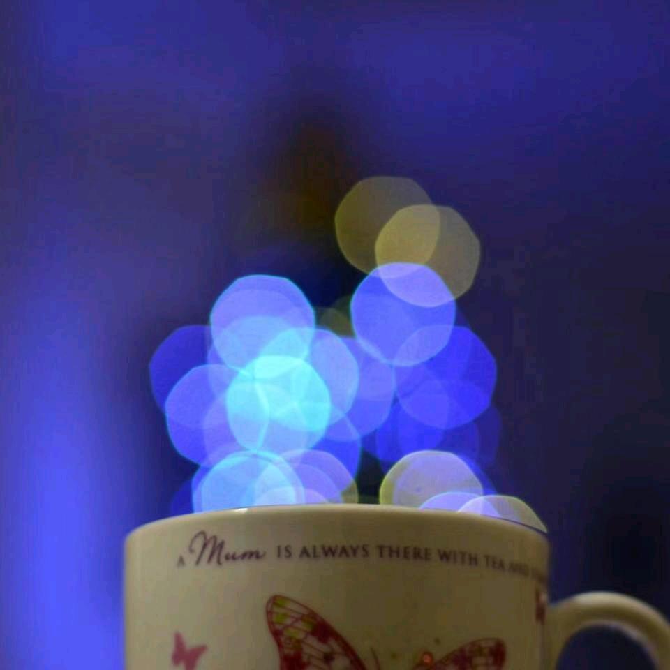 通川区金楼建材经营部（个体工商户）