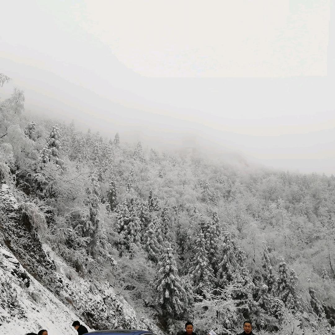 袁江波