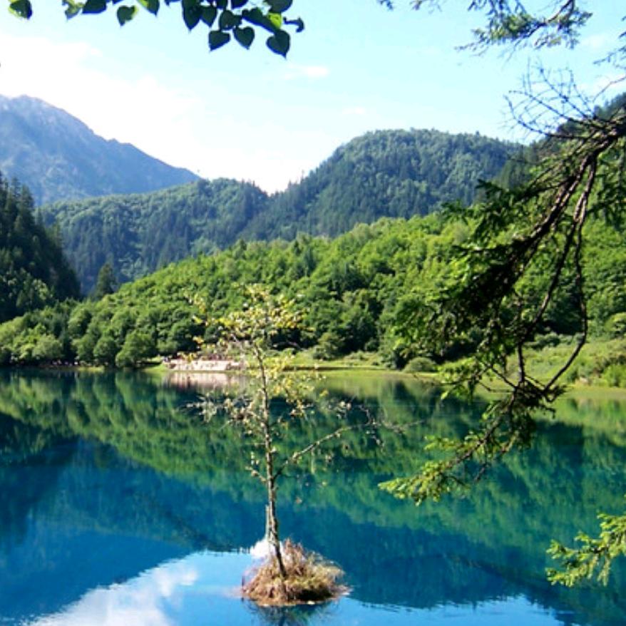山清水秀