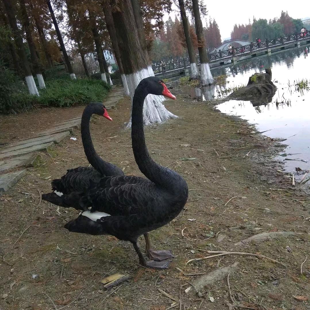 天 边