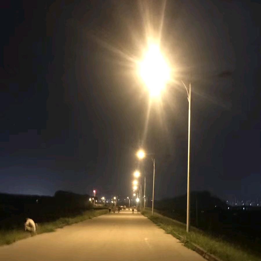 大海哥