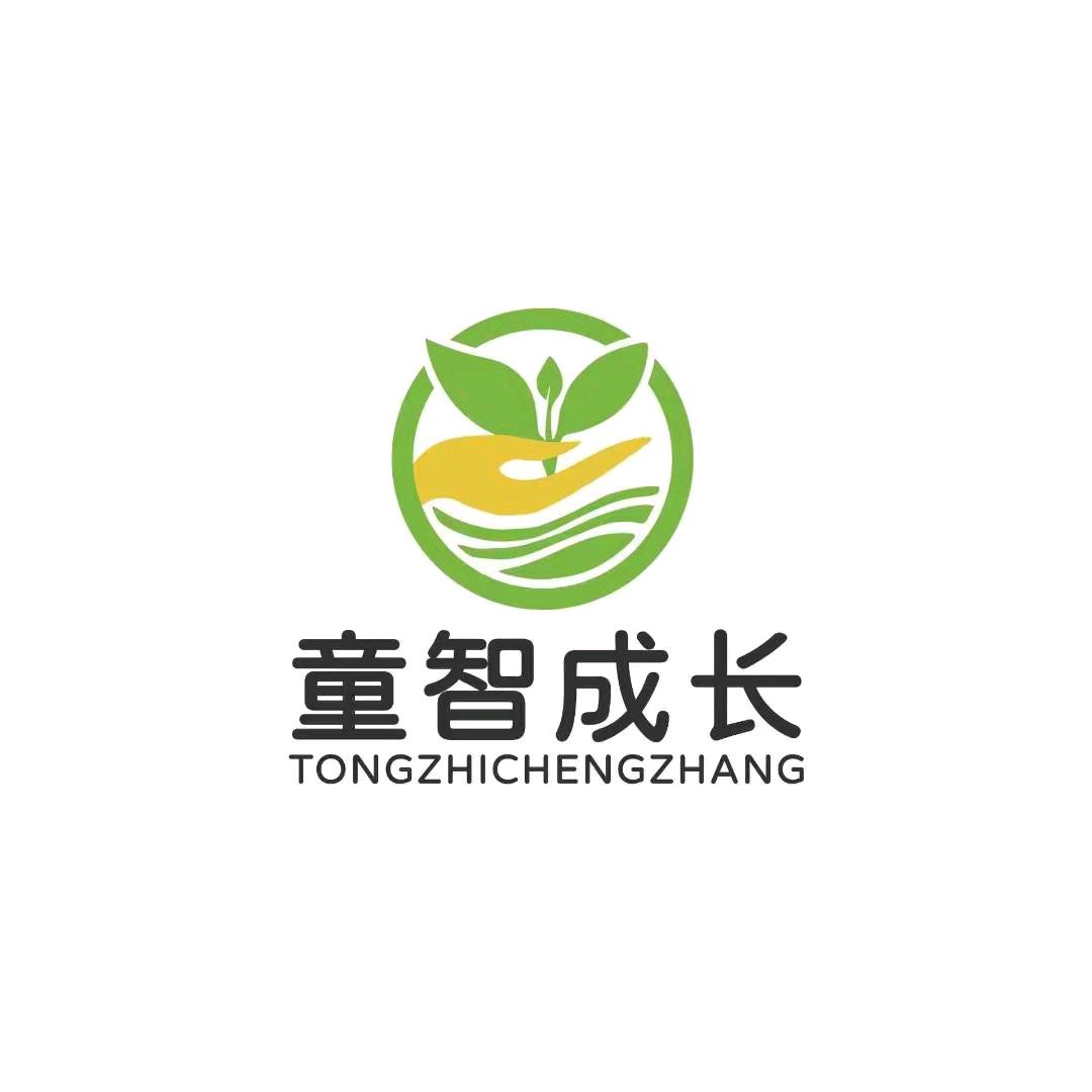 童智成长
