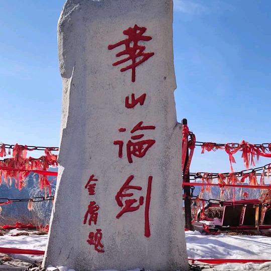 南柯一梦