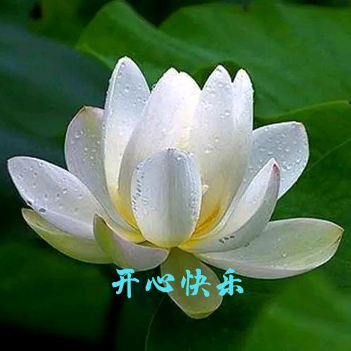 惠帝