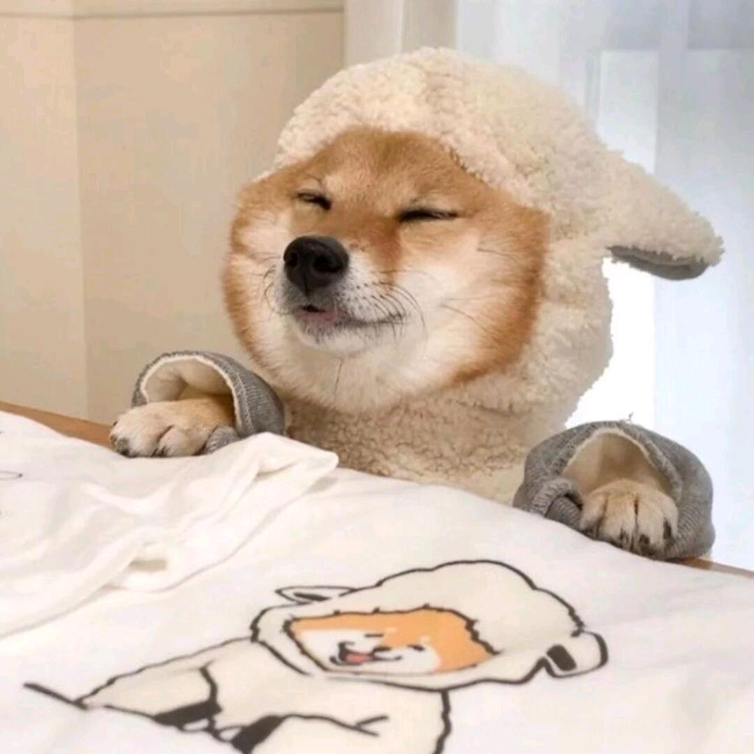 🌟吴理取闹💫