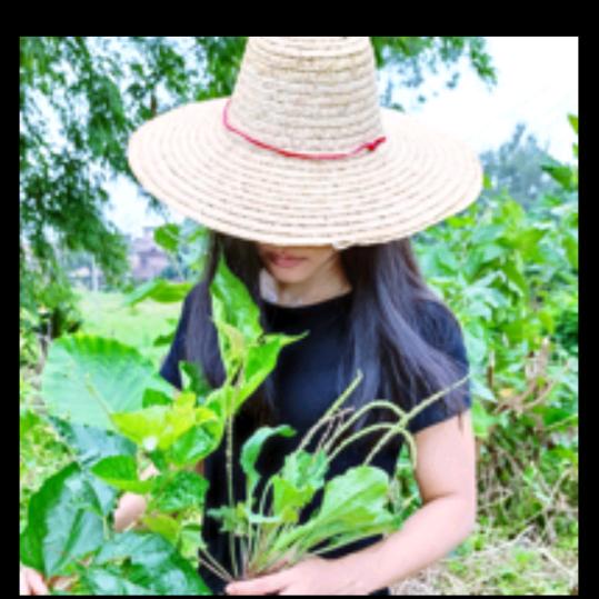 农业植保 一程