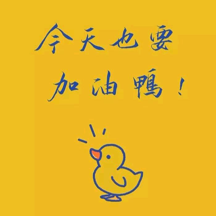 ᥫᩣ试问此情值几钱