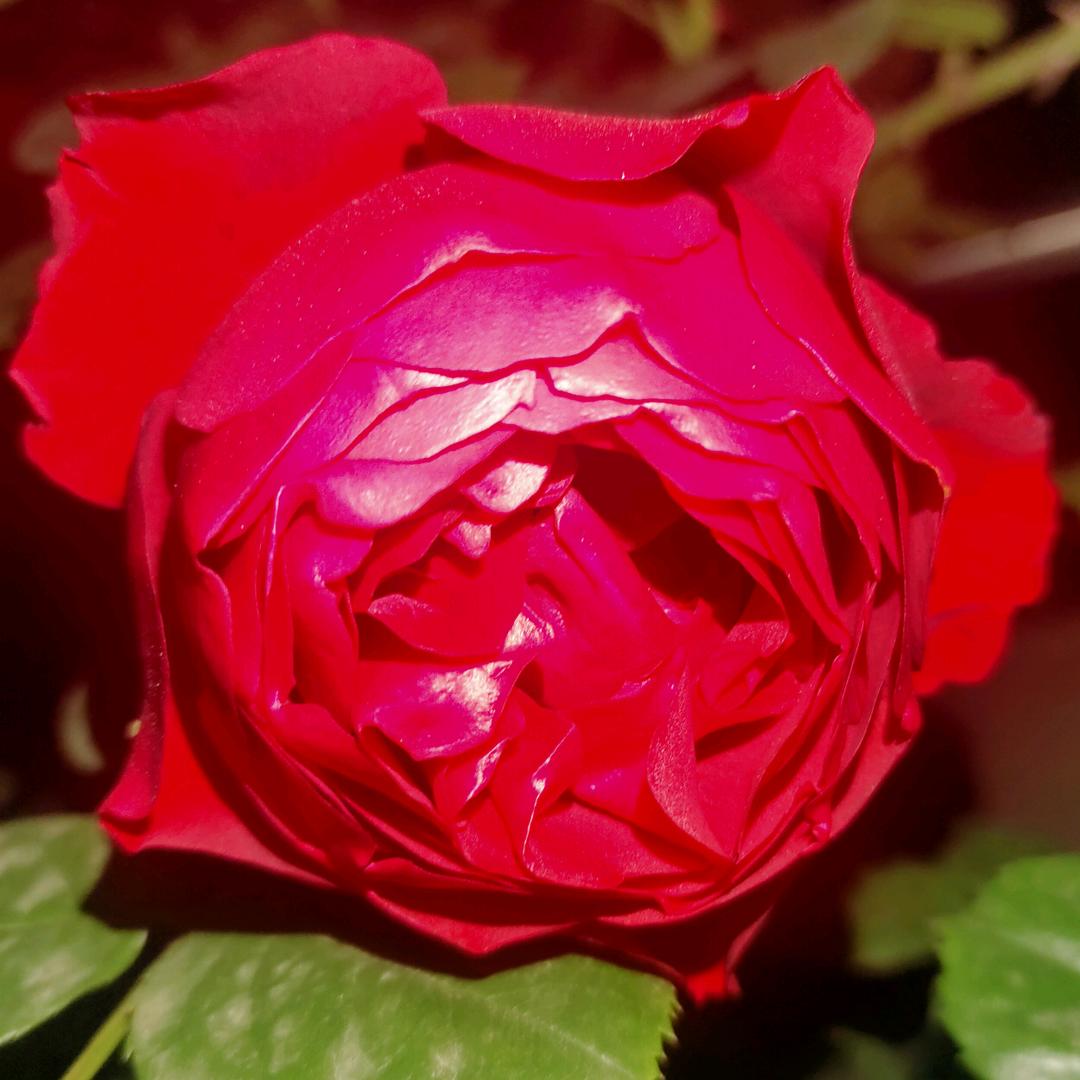 手机用户68042873334