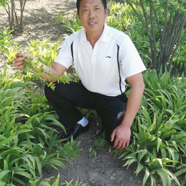黄河武馆八五届