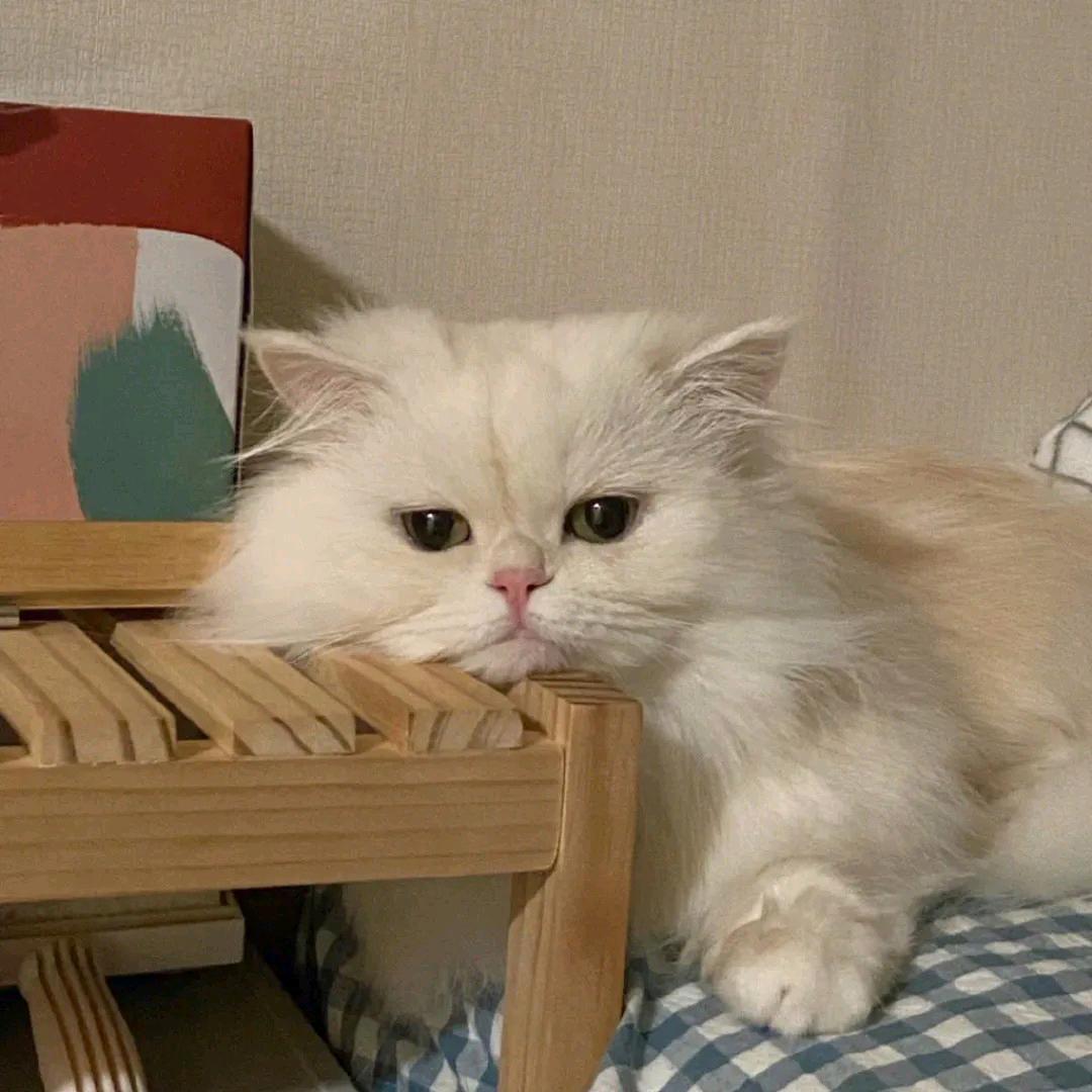 天灵灵地灵灵～