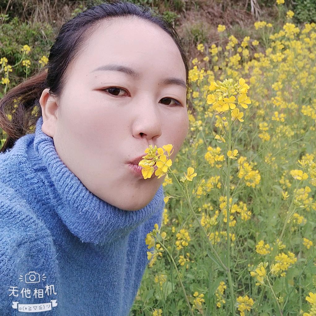@杨三姐