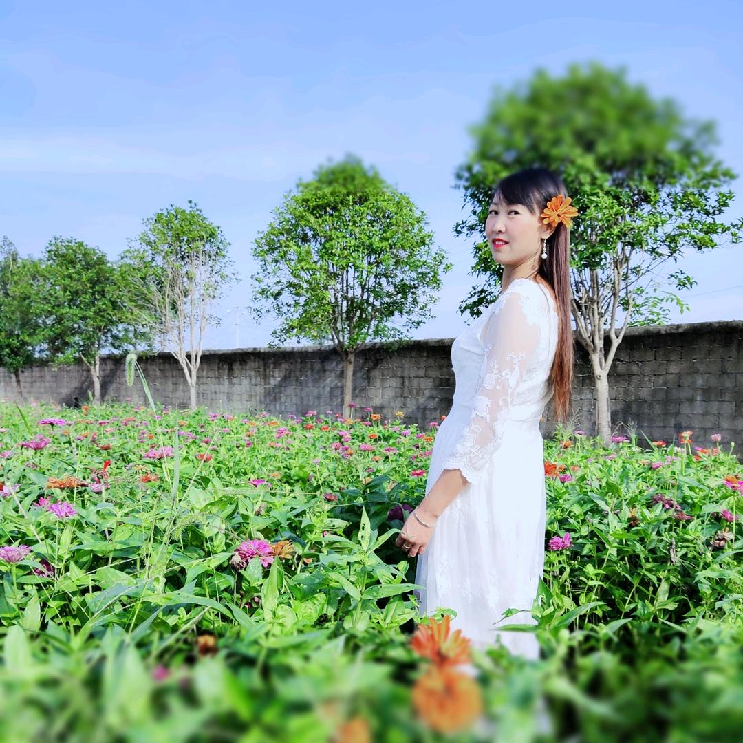 #溆浦……牛栏山酒（兵妈妈）