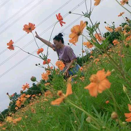 小花姐