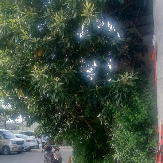 两个人的生活真有趣