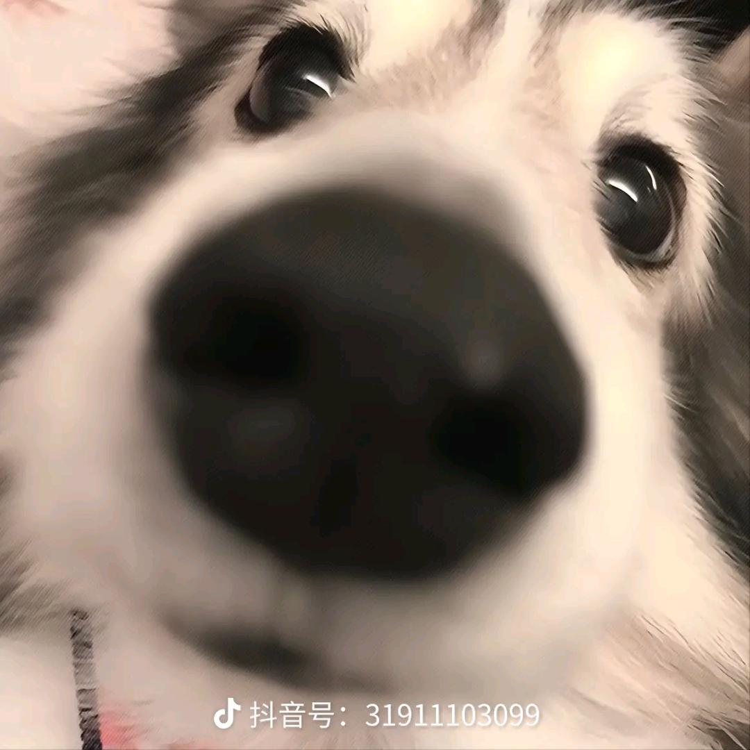 小新卖蜡笔，，