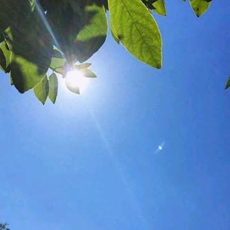 每天都有好心情^_^