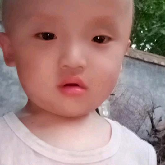 翟荣花