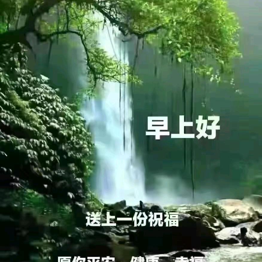 @72年的鼠康