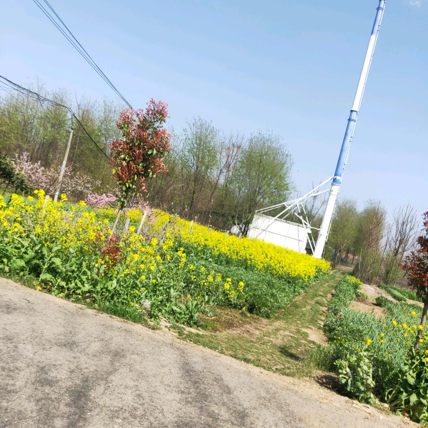 休闲雅居