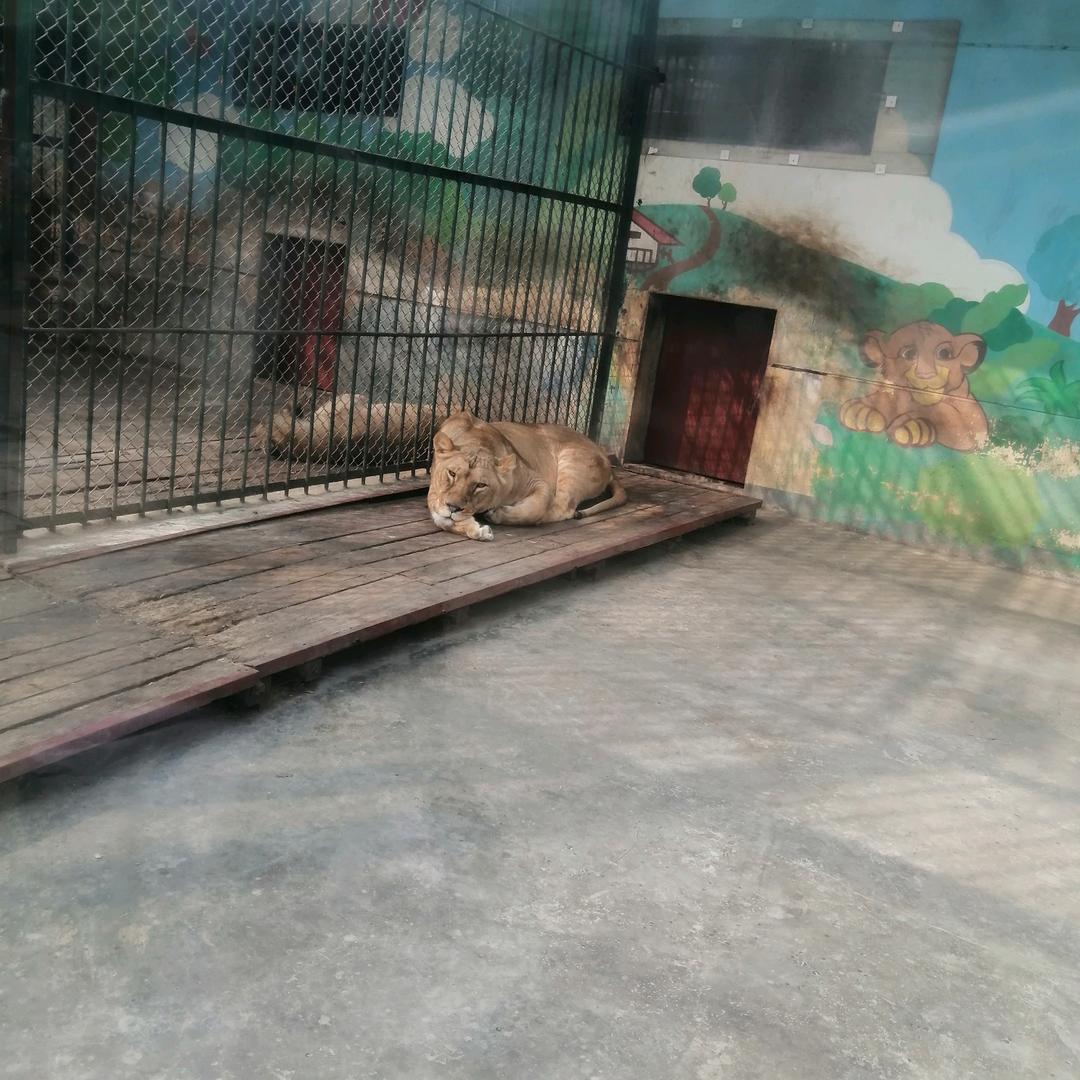 刺激