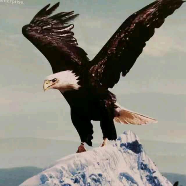 坚强
