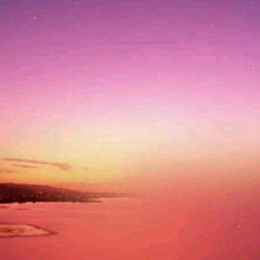 永哥—蝴蝶号+短引