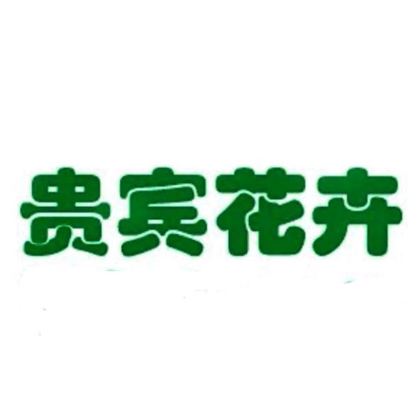 贵宾花卉绿植企业店